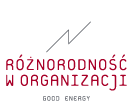 Różnorodność w organizacji